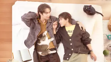 Backdrop for the TV series "Cat for Cash" #1486592