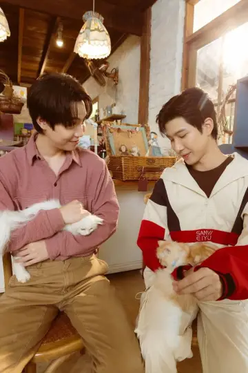 Poster for the TV series "Cat for Cash" #1486606