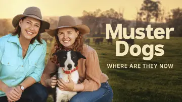 Backdrop for the TV series "Muster Dogs: Where Are They Now" #1503311