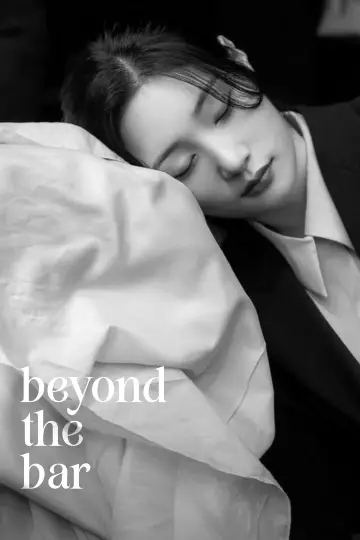 Poster for the TV series "Beyond the Bar" #1451772