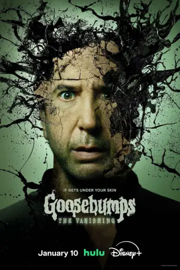 Poster for the TV series "Goosebumps: The Vanishing" #1449950
