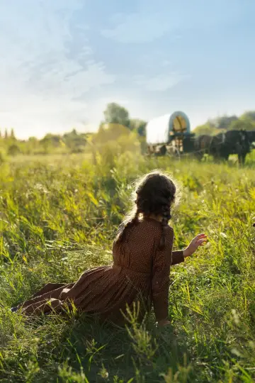 Poster к сериалу "Little House on the Prairie" #1379420