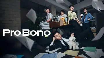 Backdrop for the TV series "Pro Bono" #1452040