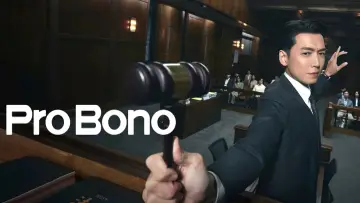 Backdrop for the TV series "Pro Bono" #1452042