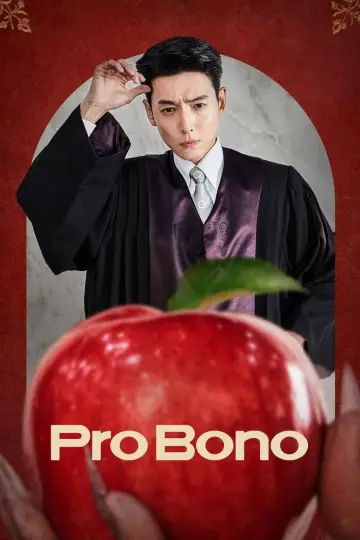 Poster for the TV series "Pro Bono" #1452051