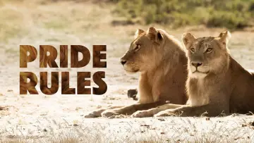 Backdrop for the TV series "Pride Rules" #1500749
