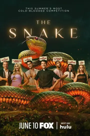 Poster for the TV series "The Snake" #1506864