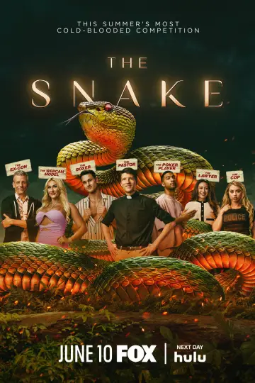 Poster for the TV series "The Snake" #1506865