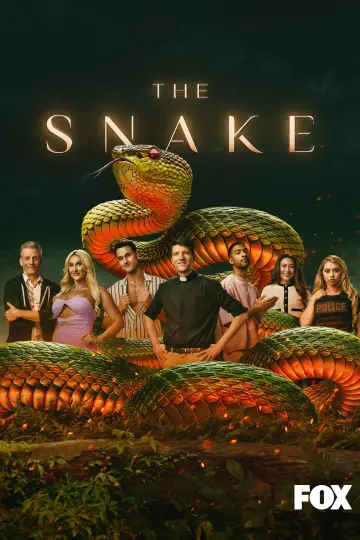 Poster for the TV series "The Snake" #1506866