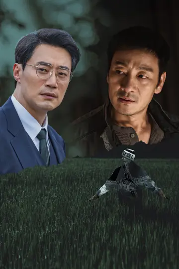 Poster for the TV series "The Scarecrow" #1474714