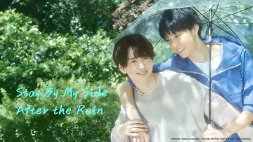Backdrop for the TV series "Stay By My Side After the Rain" #1560203