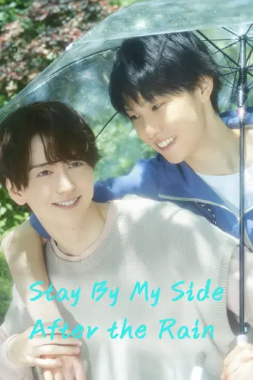 Poster for the TV series "Stay By My Side After the Rain" #1560220