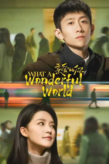 Poster for the TV series "What a Wonderful World" #1500161
