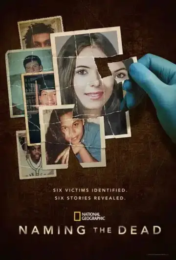 Poster for the TV series "Naming the Dead" #1483265