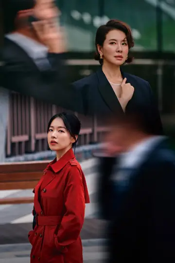 Poster for the TV series "A Graceful Liar" #1500459