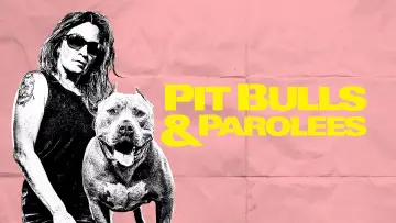 Backdrop for the TV series "Pit Bulls and Parolees" #1539170