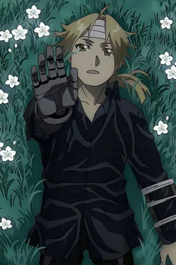 Poster for the TV series "Fullmetal Alchemist: Brotherhood" #1282225