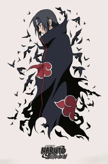 Poster for the TV series "Naruto Shippūden" #1265612