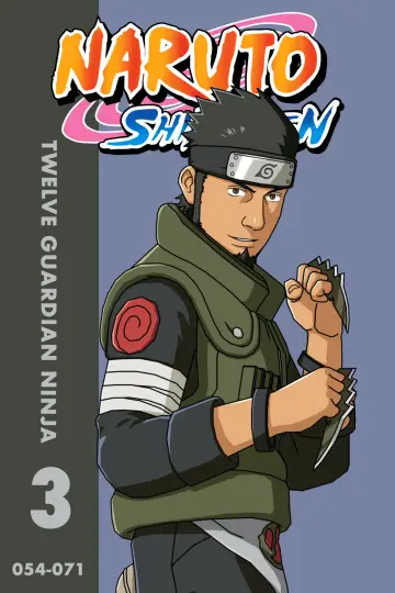 Poster for the TV series "Naruto Shippūden" #1516696