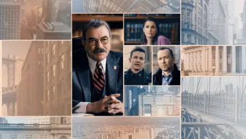 Backdrop for the TV series "Blue Bloods" #1247643