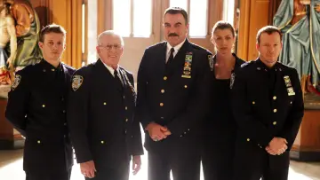 Backdrop for the TV series "Blue Bloods" #1247676
