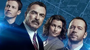 Backdrop for the TV series "Blue Bloods" #1247733