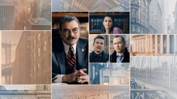 Backdrop for the TV series "Blue Bloods" #1247741