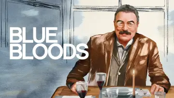Backdrop for the TV series "Blue Bloods" #1247772