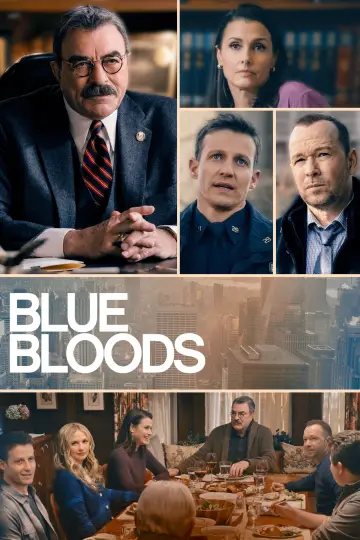 Poster for the TV series "Blue Bloods" #1247786