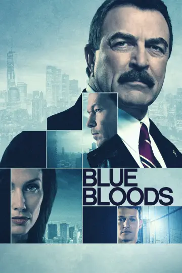 Poster for the TV series "Blue Bloods" #1247793