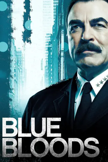 Poster for the TV series "Blue Bloods" #1247794