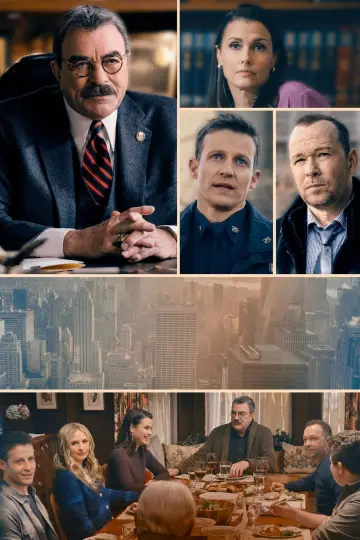 Poster for the TV series "Blue Bloods" #1247802