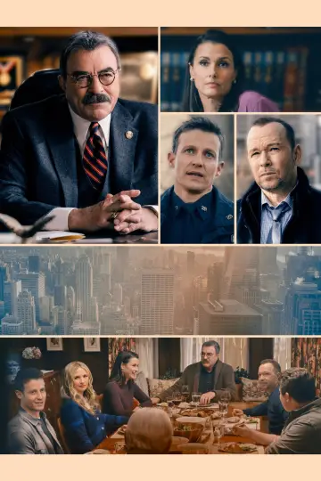 Poster for the TV series "Blue Bloods" #1247803