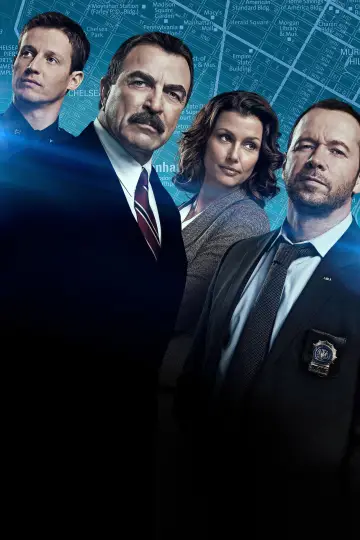 Poster for the TV series "Blue Bloods" #1247804