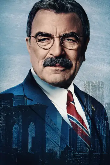Poster for the TV series "Blue Bloods" #1247809