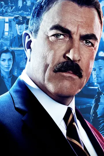 Poster for the TV series "Blue Bloods" #1247816