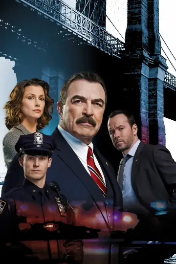 Poster for the TV series "Blue Bloods" #1247821