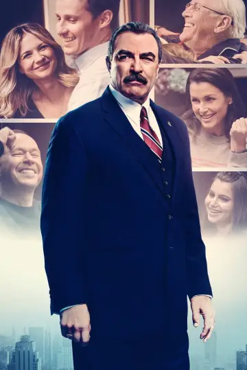 Poster for the TV series "Blue Bloods" #1247822