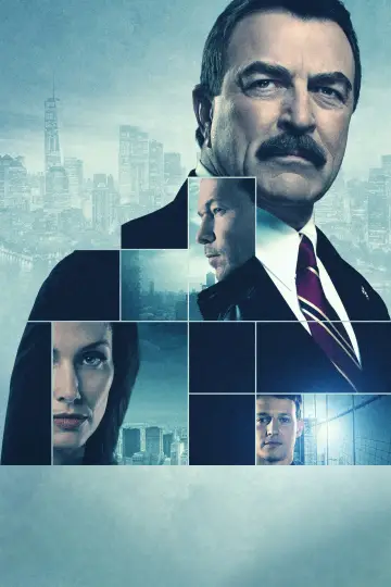 Poster for the TV series "Blue Bloods" #1247824
