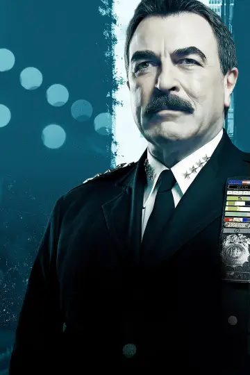 Poster for the TV series "Blue Bloods" #1247825
