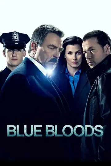 Poster for the TV series "Blue Bloods" #1247833