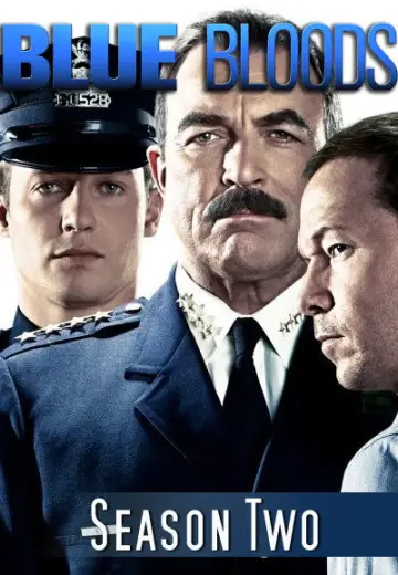 Poster for the TV series "Blue Bloods" #1264257