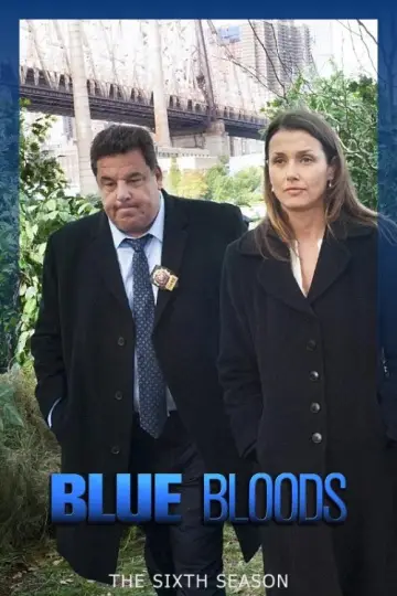Poster for the TV series "Blue Bloods" #1264279