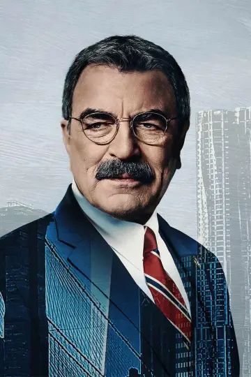 Poster for the TV series "Blue Bloods" #1264303