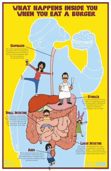 Poster for the TV series "Bob