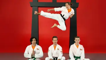 Backdrop for the TV series "Kickin