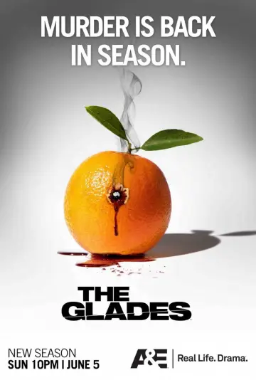 Poster к сериалу "The Glades" #1364436