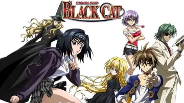 Backdrop for the TV series "Black Cat" #1453001