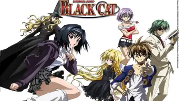 Backdrop for the TV series "Black Cat" #1453006