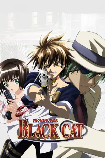 Poster for the TV series "Black Cat" #1453012